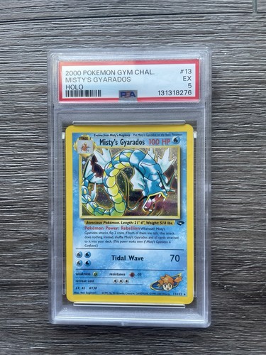 Pokemon 2000 sfida - pokemon, palestra