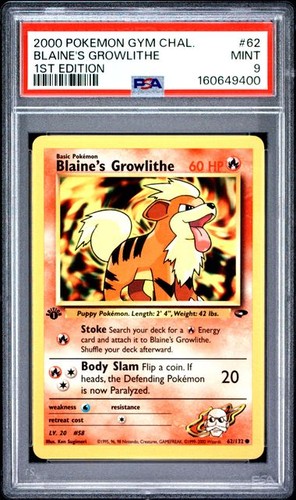2000 pokemon gym challenge - pokemon,
