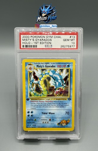 2000 pokemon misty - pokemon, gyarados