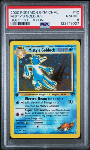 Pokemon sfida palestra - sfida,