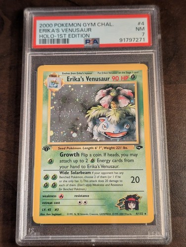 2000 pokemon gym - 2000,
