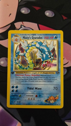Pokemon sfida palestra misty - sfida,
