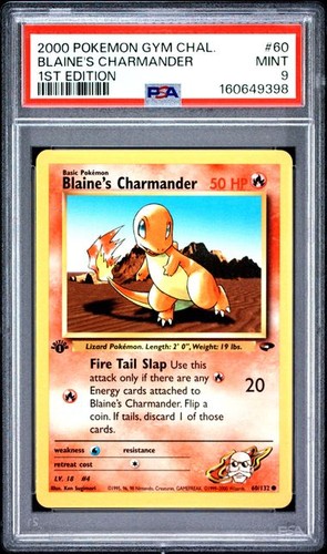 2000 pokemon gym - pokemon,