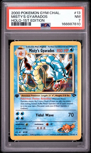 Pokemon misty gyarados - pokemon,