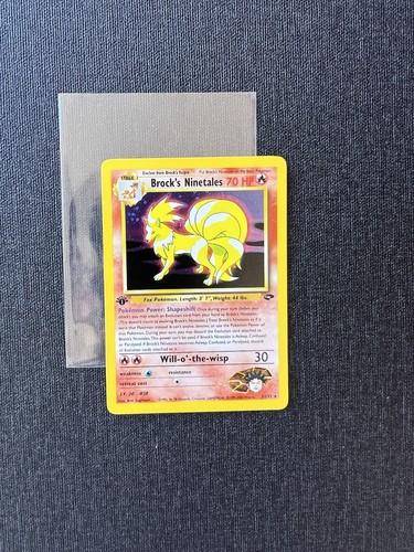 Pokemon brock ninetales - pokemon, 1a