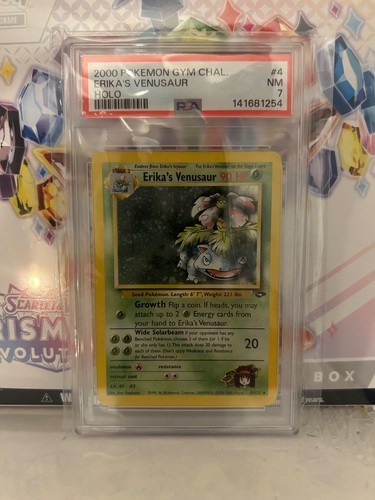 Erika venusaur holo rare gym - holo,