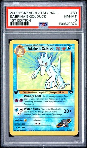 2000 pokemon gym - pokemon,