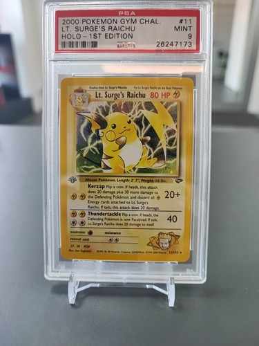 Surge raichu 11 - lt.,