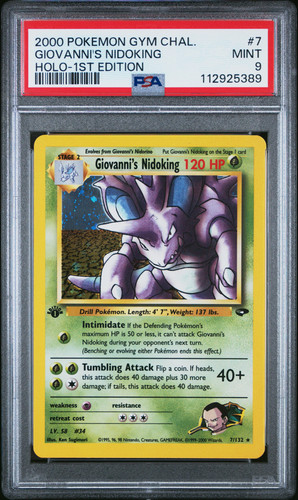 Pokémon sfida palestra 2000 - sfida,