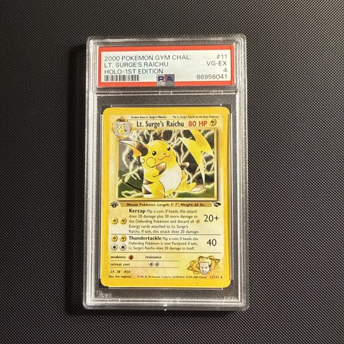 Pokemon sfida palestra - sfida,